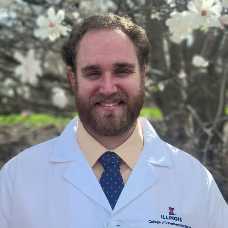 Dr. Mark