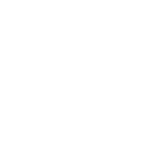 Pet wellness icon